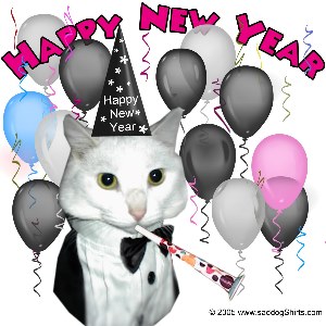 ../Images/New Years cat.jpg